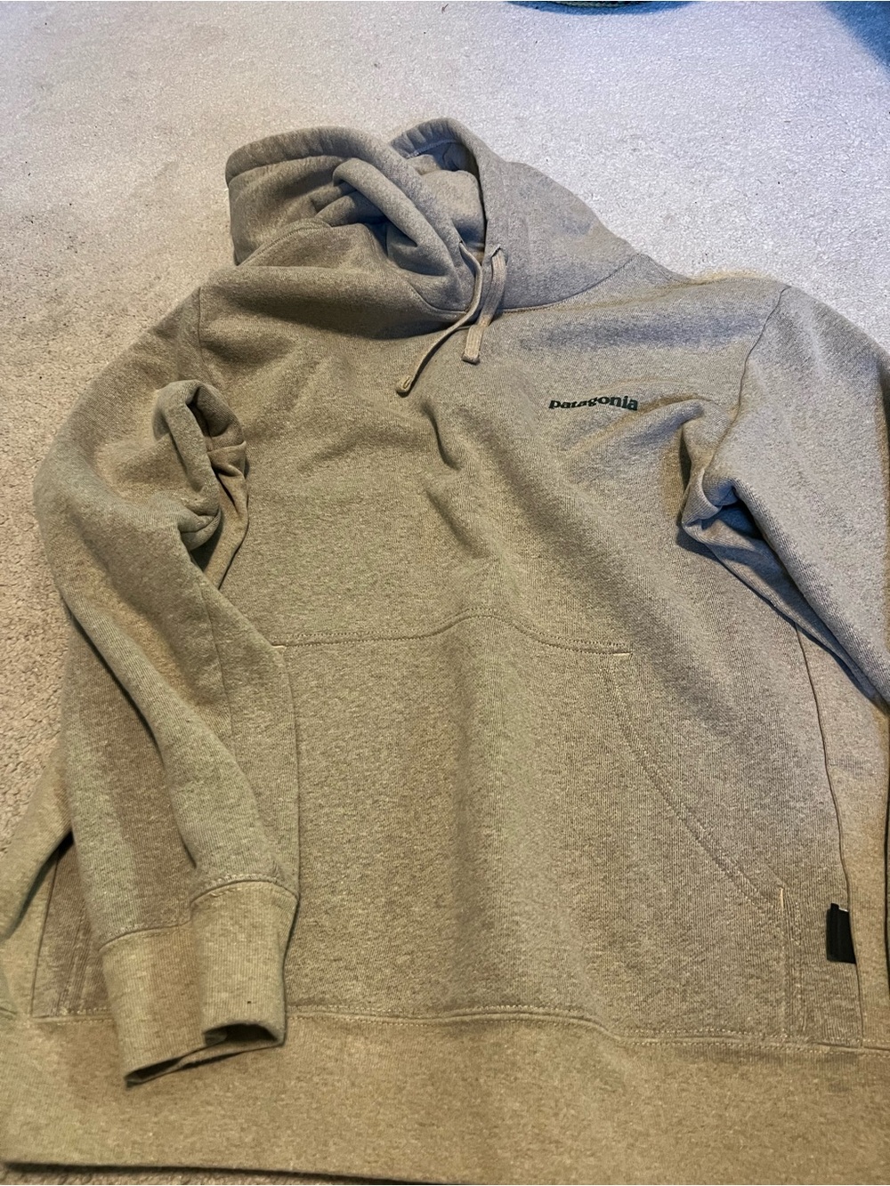 Patagonia Beige Pullover Hoodie, NWOT